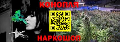 стаф Новозыбков