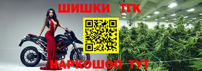 стаф Новозыбков