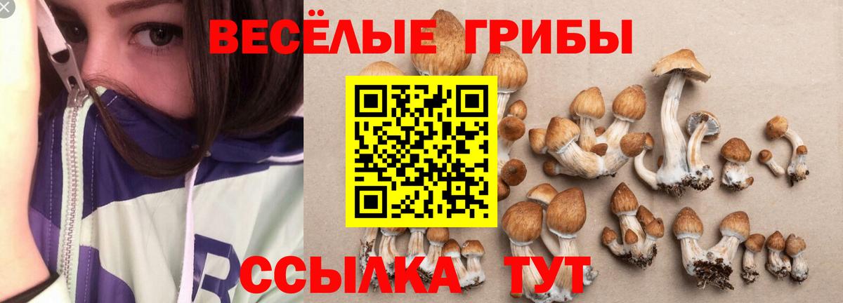 Псилоцибиновые грибы ЛСД  Псилоцибиновые грибы Psilocybine cubensis  Вход с VPN  Углич 